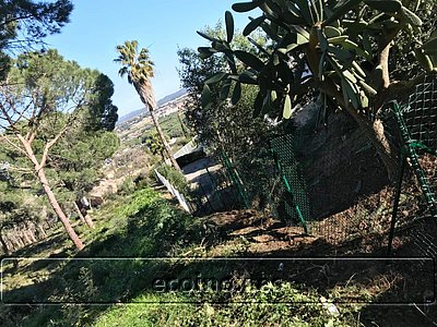 TREBALLS REALITZATS A SANT ANTONI DE CALONGE