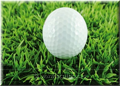 Gespa artificial esportiva