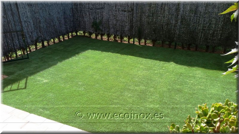 TANCAMENT BEETHOVEN SOBRE TARIMA DE FUSTA