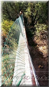 TANCAMENT CONTRA L'ENTRADA DE SENGLARS