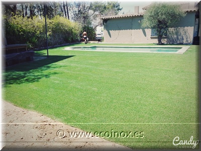 MASIA AMB GREGAL A TORROELLA