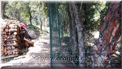 Tancament simple torsió Ecoinox